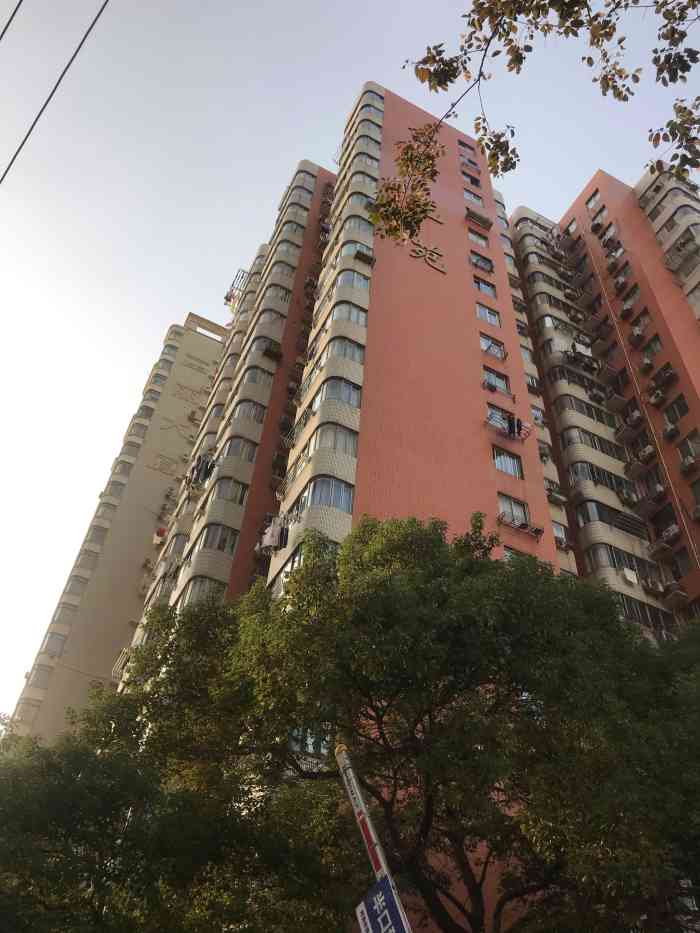 富丽大厦·花苑-"周围小区很多个,环境都不错,不过都交通不.