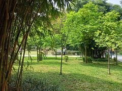 -晓港公园