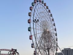 -洋湖国家湿地公园