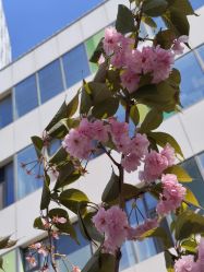 -大连市妇女儿童医疗中心(希望广场儿童院区)