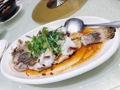 清蒸龍躉仔-东国海鲜火锅城(氹仔店)