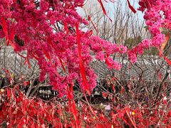 -祥源·阜阳生态乐园