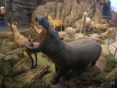 -陕西自然博物馆