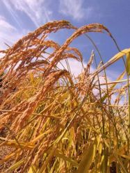 -Oasis Beauty水磨坊科技美肤中心