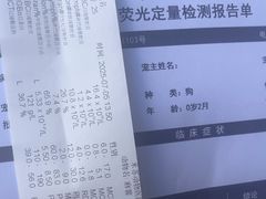 -米苏动物医院·犬猫专科·骨科外科内窥镜