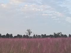 -汉长安城未央宫国家考古遗址公园