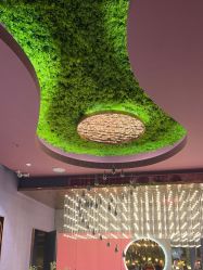 点击看大图 -花隐·美芙炫海菲秀皮肤管理中心