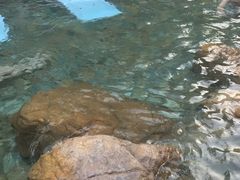 -汕尾莲花山温泉度假村
