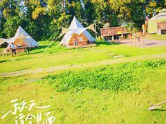 -上海长兴岛郊野公园