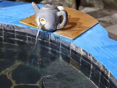 -兴芮温泉度假区