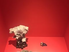 -上海虹桥迎宾馆