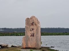 -微山湖红荷湿地景区