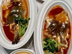 -新光酒家·河豚·海鲜·蟹料理(浦东店)