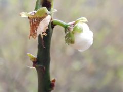 -广州市流溪河国家森林公园