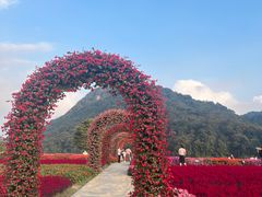 -广州市石门国家森林公园