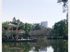 -晓港公园