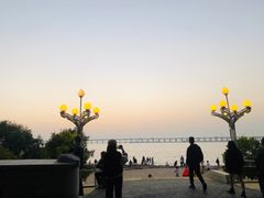 -宝安西湾红树林湿地公园