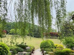 -铁山坪森林公园