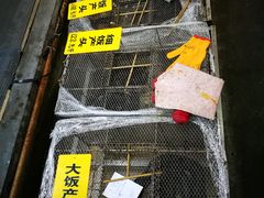 -寻味顺德·南记酒家·传统顺德菜·鱼生(广源路店)