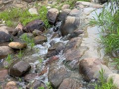 -白塘生态植物园