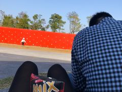 -春花秋色城市公园