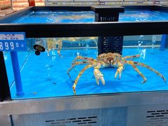 -麦德龙(郑东店)