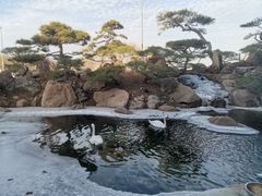 -罗红摄影艺术馆