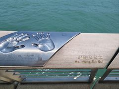 -海港城