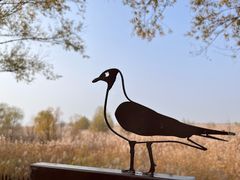 -野鸭湖国家湿地公园