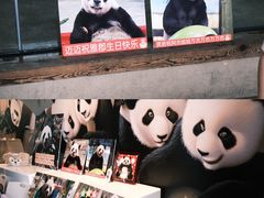 -宁波野生动物园