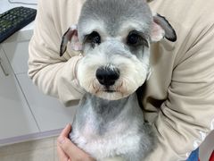 -佳雯宠物医院(金华南路分院)