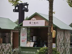 -比斯特上海购物村精品奥特莱斯