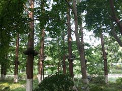 -济南大明湖景区