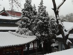 -碑林公园