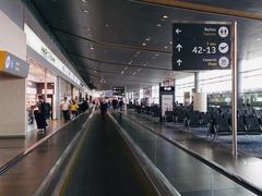 -波哥大埃尔多拉国际机场