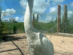 -盐城丹顶鹤湿地生态旅游区