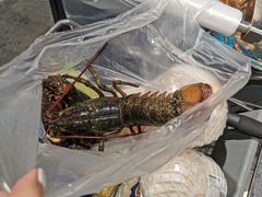 -盒马鲜生(曜一城店)