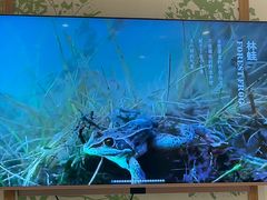 -吉林省林业宾馆-餐厅