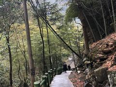 -藏龙百瀑风景区