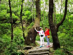 -驼梁风景区