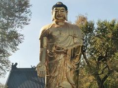 -哈尔滨极乐寺