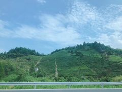 -将军关探险漂流