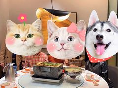 -杨氏青龙虾·羊蝎子(金盛路总店)