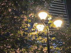 -观音桥步行街