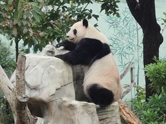 -南宁市动物园