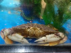 -卜蜂莲花(杨高北路店)