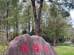 -自然谷恐龙园