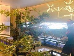 -潮上潮(南中环店)