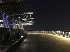 -南京眼步行桥