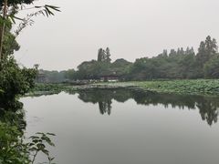 -西湖游船